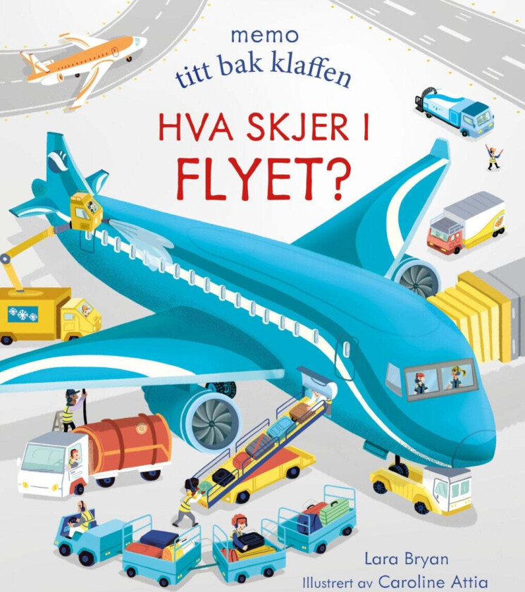 Hva skjer i flyet? av Lara Bryan