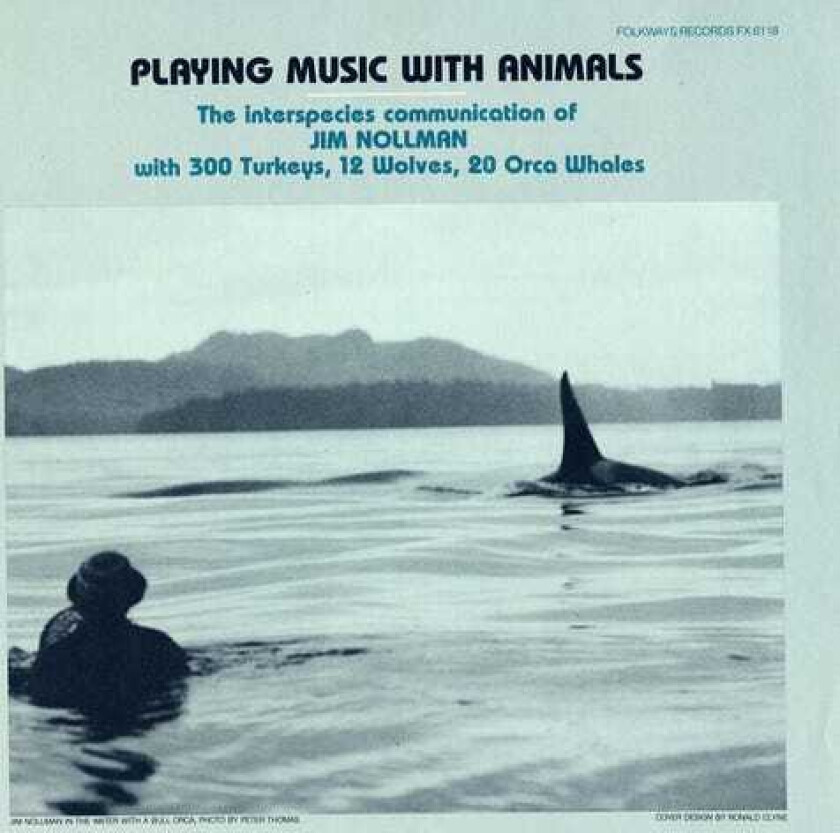 Jim Nollman Playing Music With Animals: Interspecies CD
