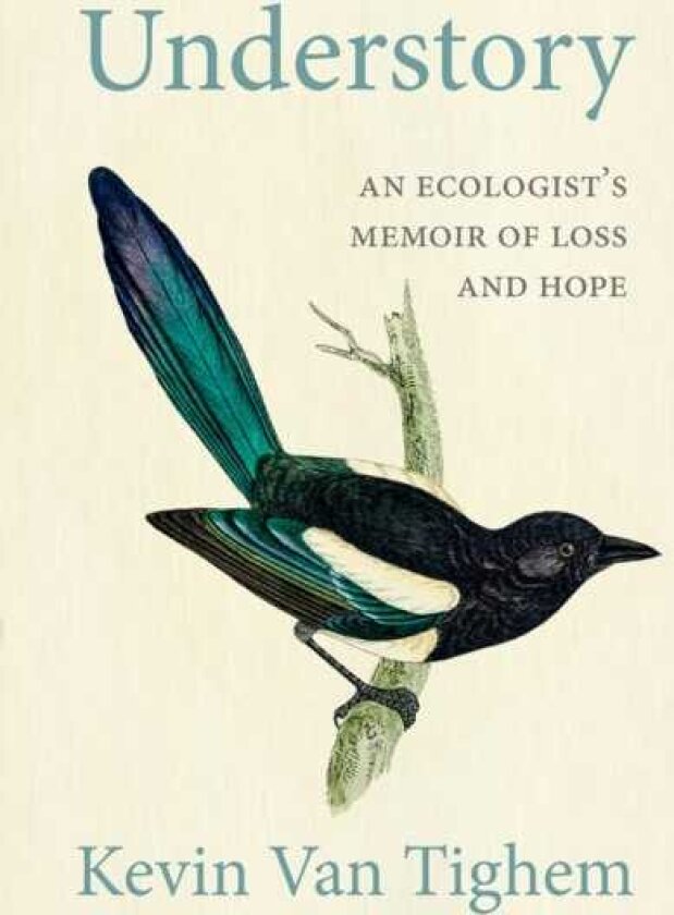 Understory An Ecologist's Memoir of Loss and Hope