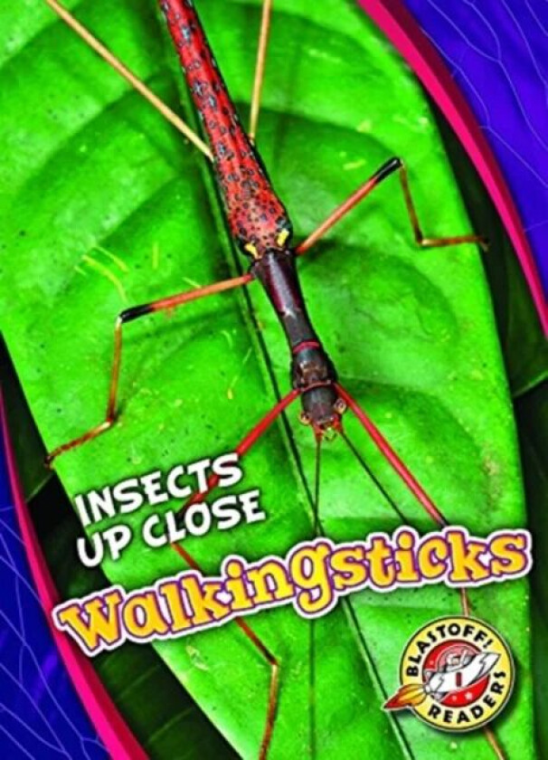Walkingsticks av Patrick Perish