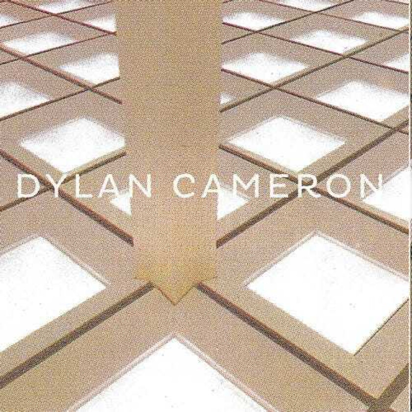 Dylan Cameron Infinite Floor LP/Vinyl