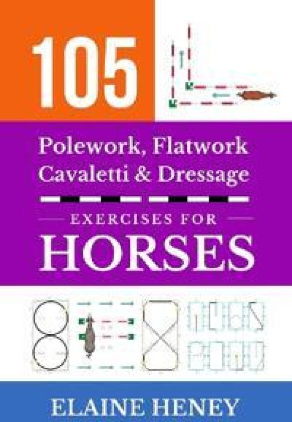 105 Polework, Flatwork, Cavaletti & Dressage Exercises for Horses