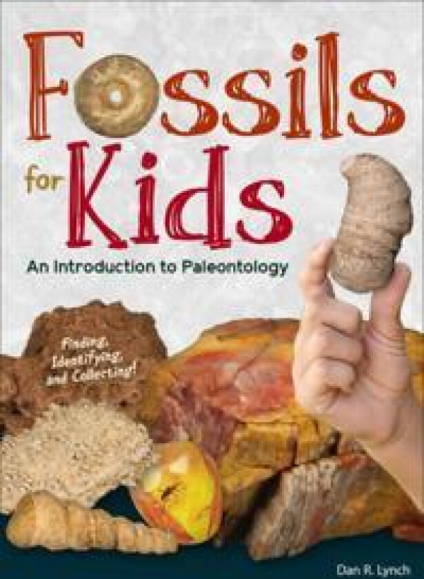 Fossils for Kids