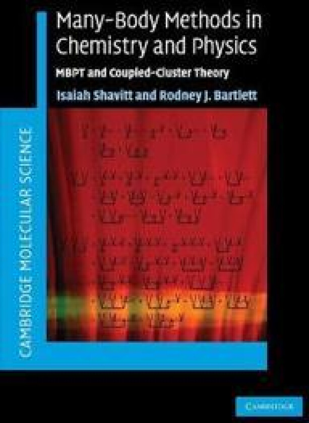 Many-Body Methods in Chemistry and Physics