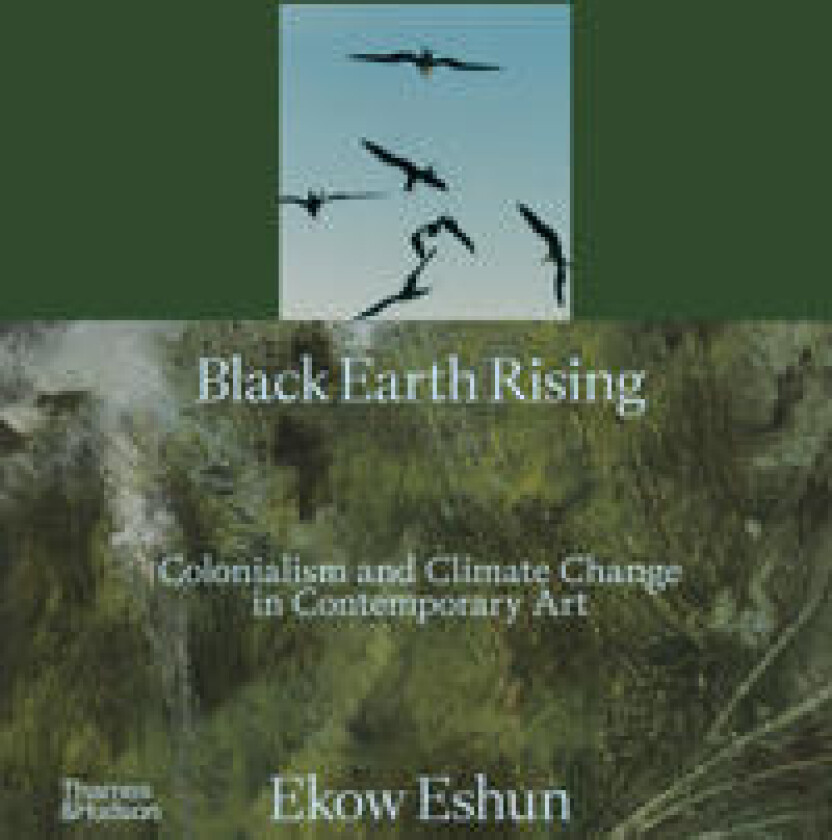 Black Earth Rising