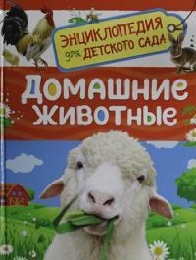 Domashnie zhivotnye (Entsiklopedija dlja detskogo sada)