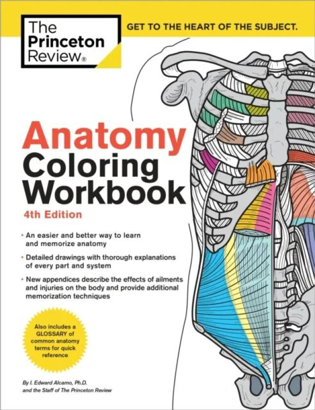 Anatomy Coloring Workbook, 4th Edition av The Princeton Review, Edward Alcamo