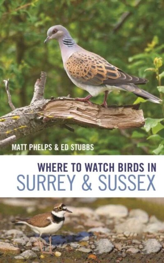 Where to Watch Birds in Surrey and Sussex av Matthew Phelps, Ed Stubbs