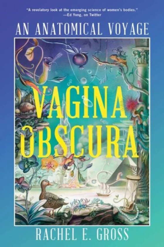 Vagina Obscura av Rachel E. Gross