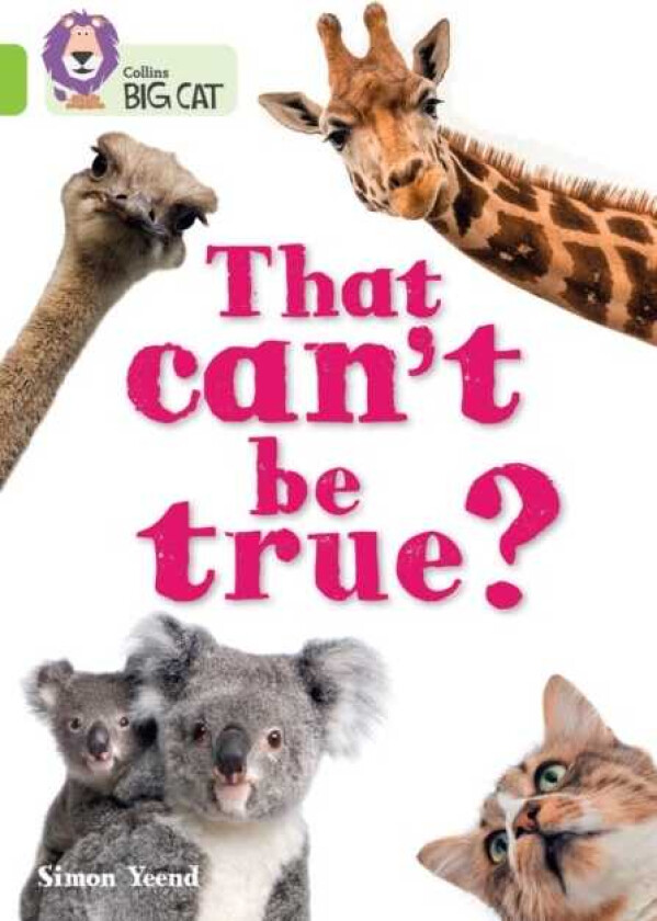 KS1 Sep 25 Title 20 Band 11/Lime