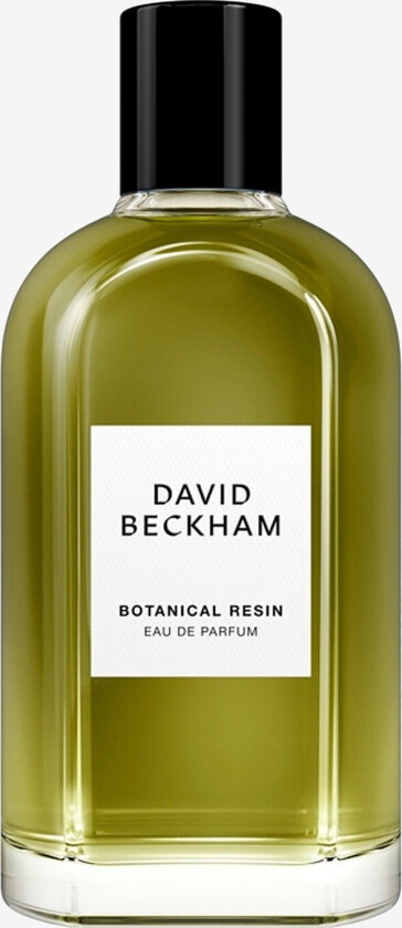 Collection Edp Botanical Resin 100 Ml - Transparent