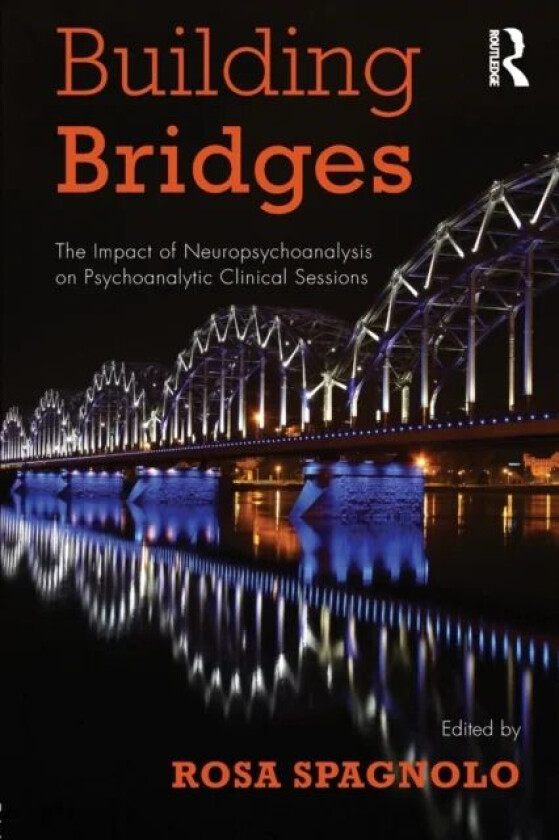 Building Bridges av Rosa Spagnolo