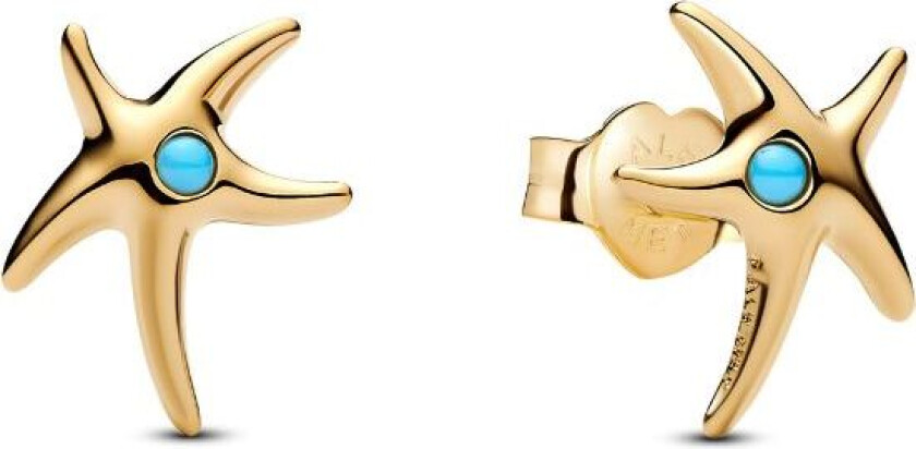 Øredobber i 925 forgylt sølv med sjøstjerne