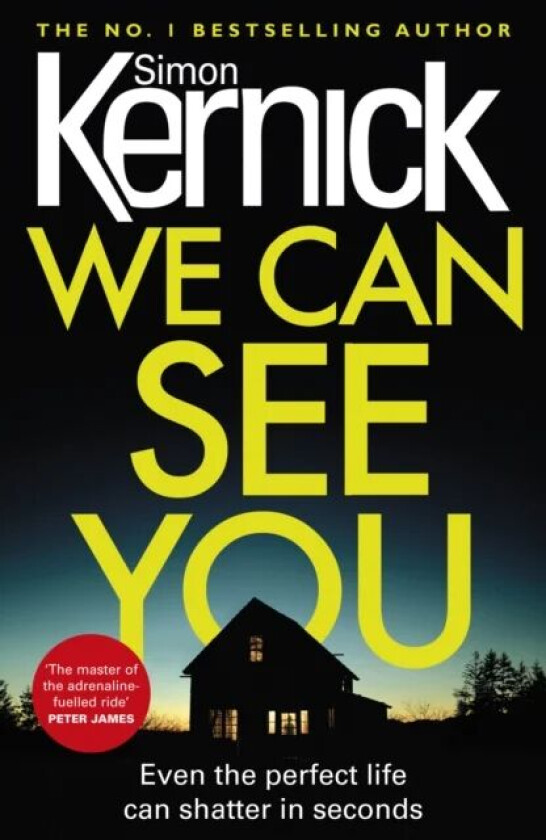 We Can See You av Simon Kernick