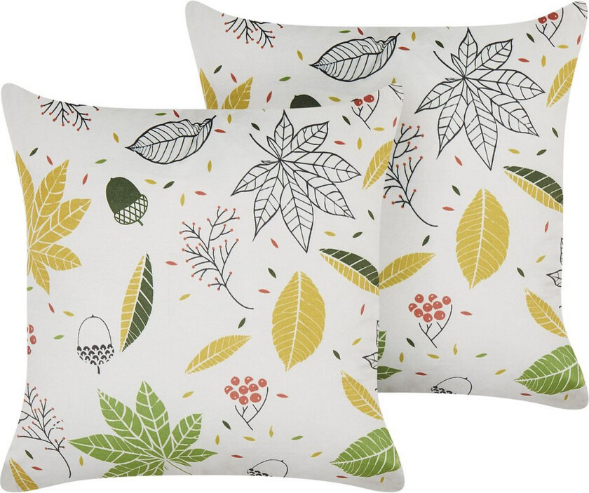 Pynteputer Mullein sett á 2