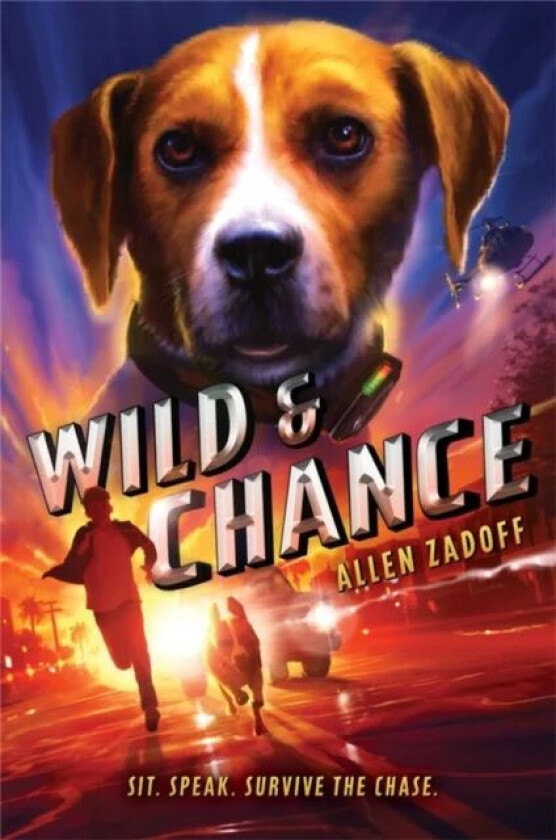 Wild & Chance av Allen Zadoff