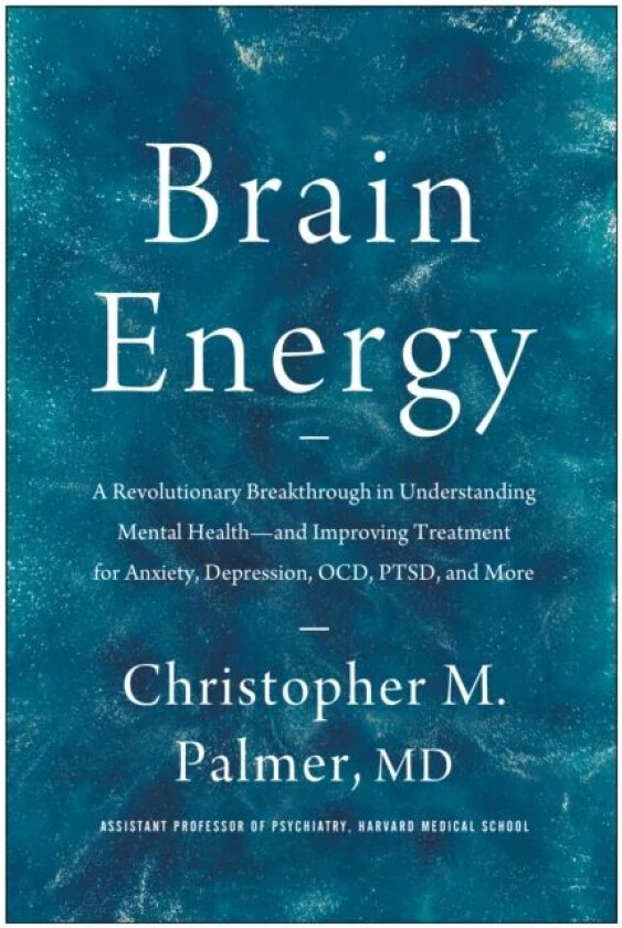 Brain Energy av Christopher M. Palmer