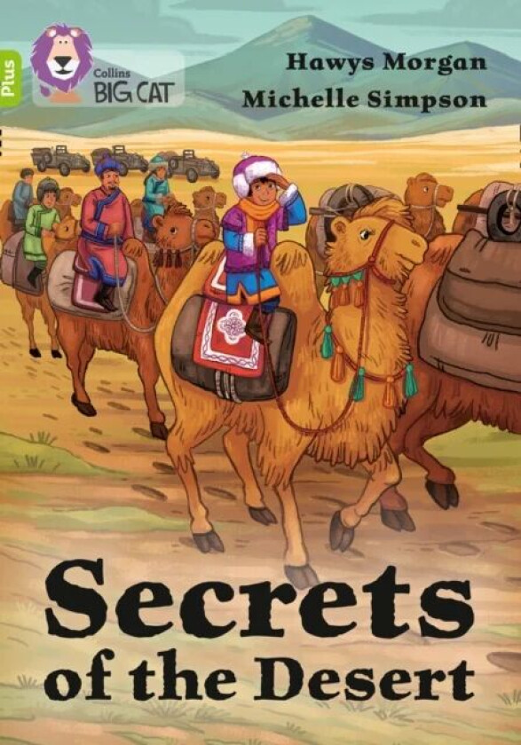 Secrets of the Desert av Hawys Morgan