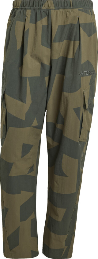 Men's Cargo Aop Pants Carbon/legivy/olistr/
