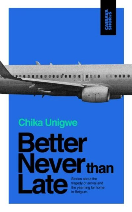 Better Never Than Late av Chika Unigwe