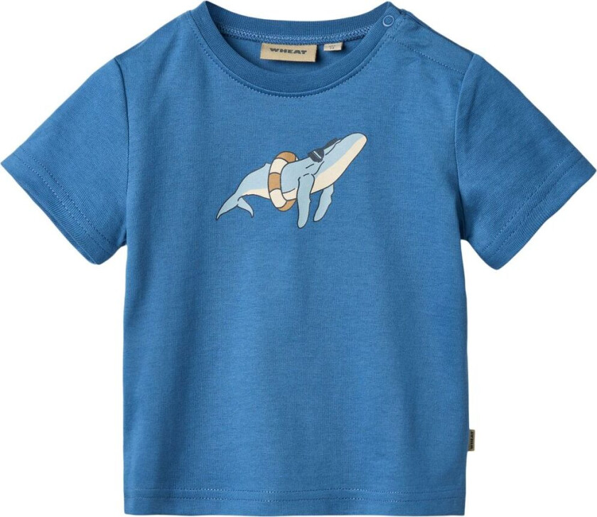 GOTS Walter T-skjorte Blue | Blå | 62 cm