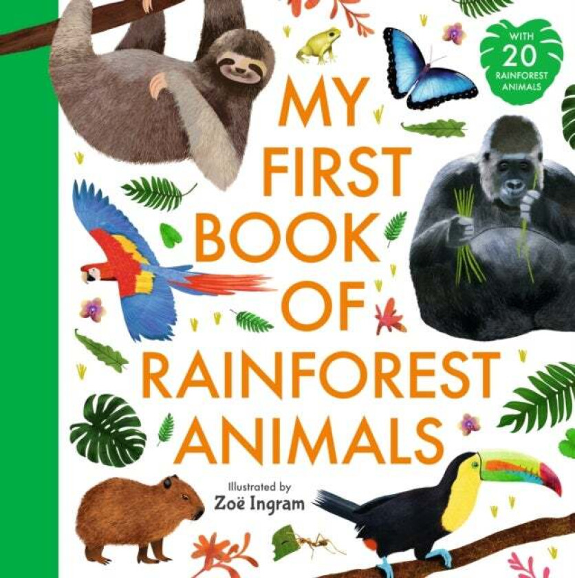 My First Book of Rainforest Animals av Zoe Ingram