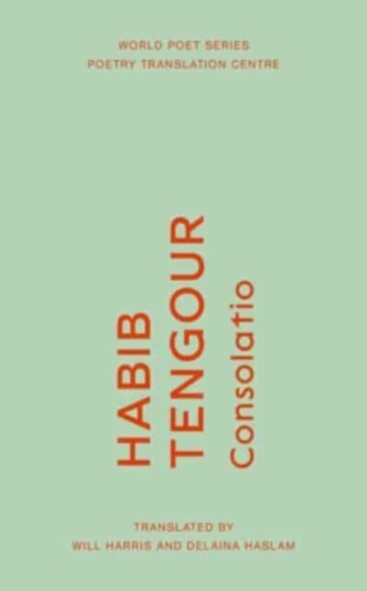 Consolatio av Habib Tengour
