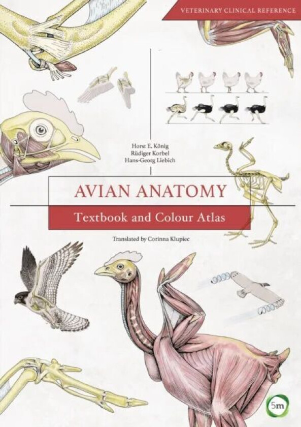 Avian Anatomy 2nd Edition: Textbook and Colour Atlas av Horst Erich Konig