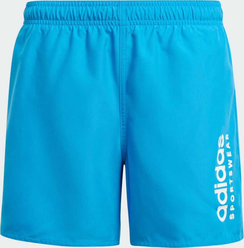 Sportswear Essentials Logo CLX Badeshorts