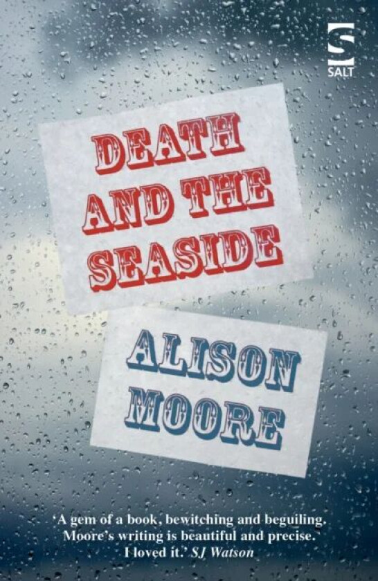 Death and the Seaside av Alison Moore