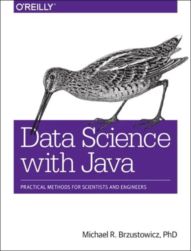 Data Science with Java av Michael Brzustowicz