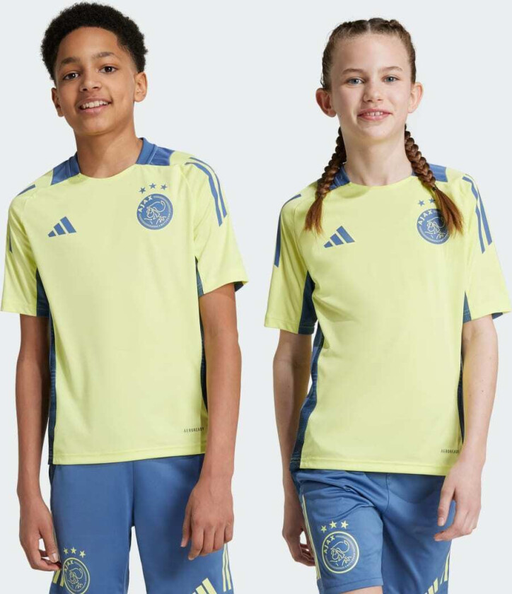 Ajax Amsterdam Tiro 24 Competition Treningstrøye