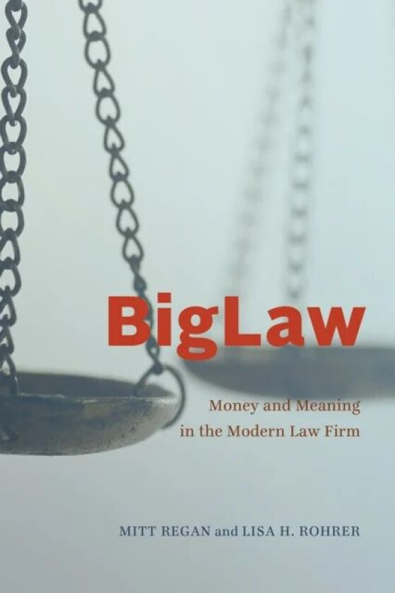 BigLaw av Mitt Regan, Lisa H. Rohrer
