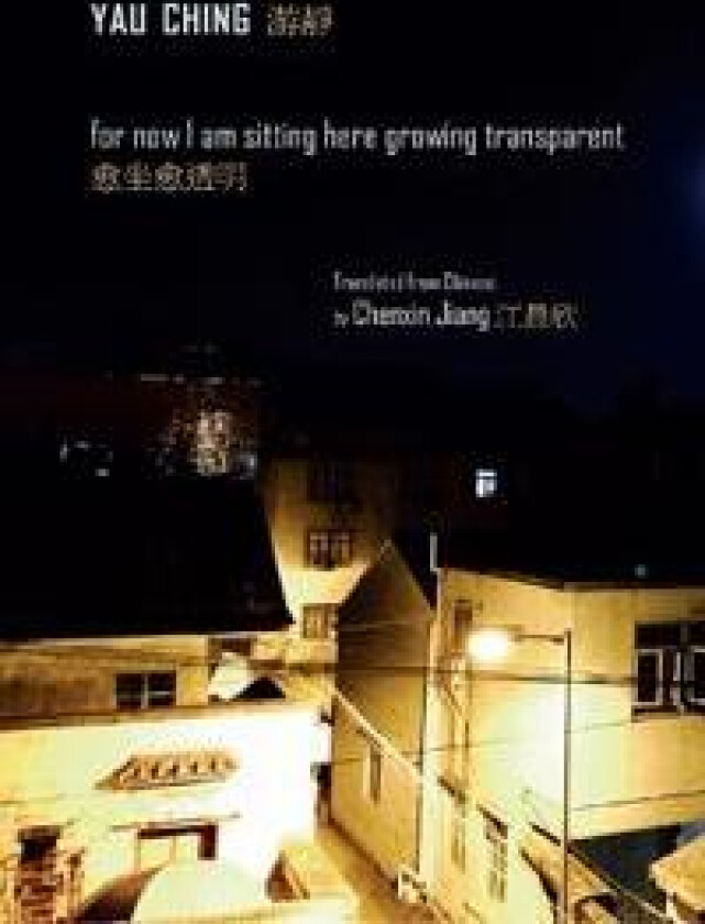 For Now I Am Sitting Here Growing Transparent
