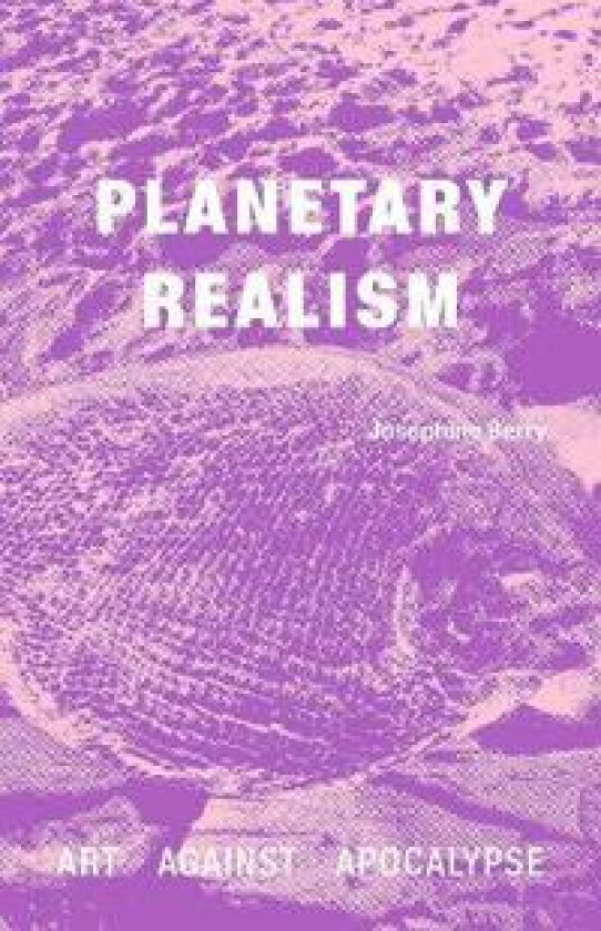 Planetary Realism