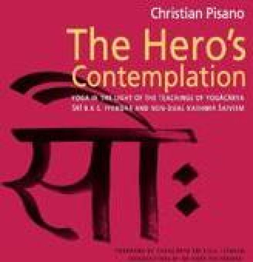 The Hero's Contemplation