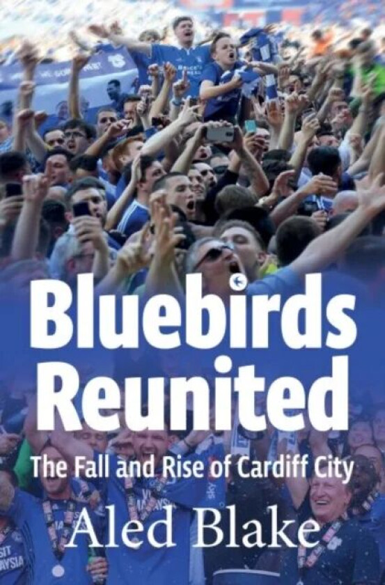 Bluebirds Reunited av Aled Blake