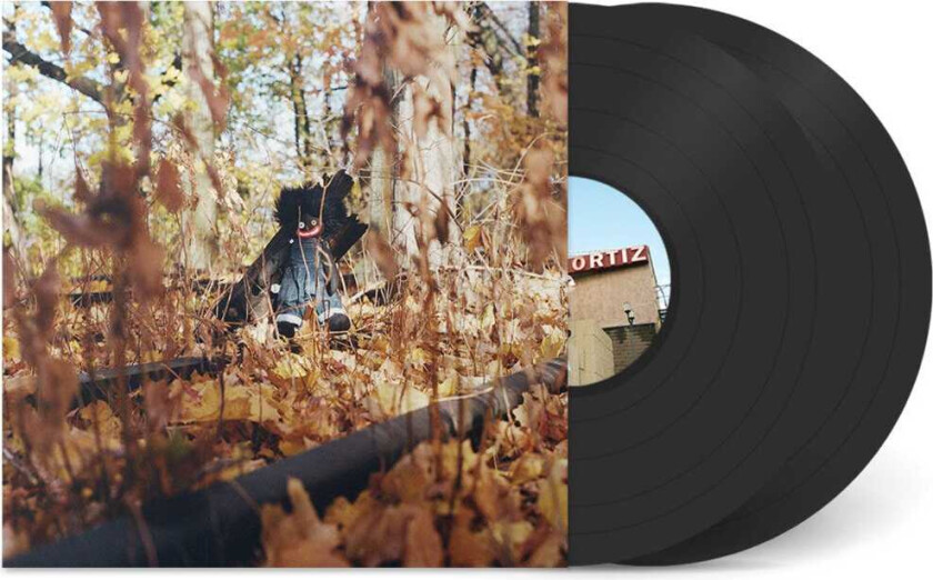 Billy Woods GOLLIWOG LP/Vinyl