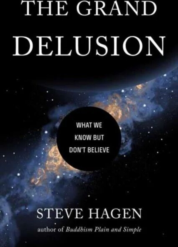 The Grand Delusion av Steve Hagen