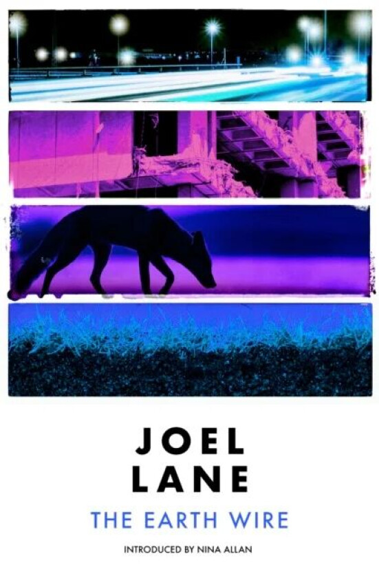 The Earth Wire av Joel Lane
