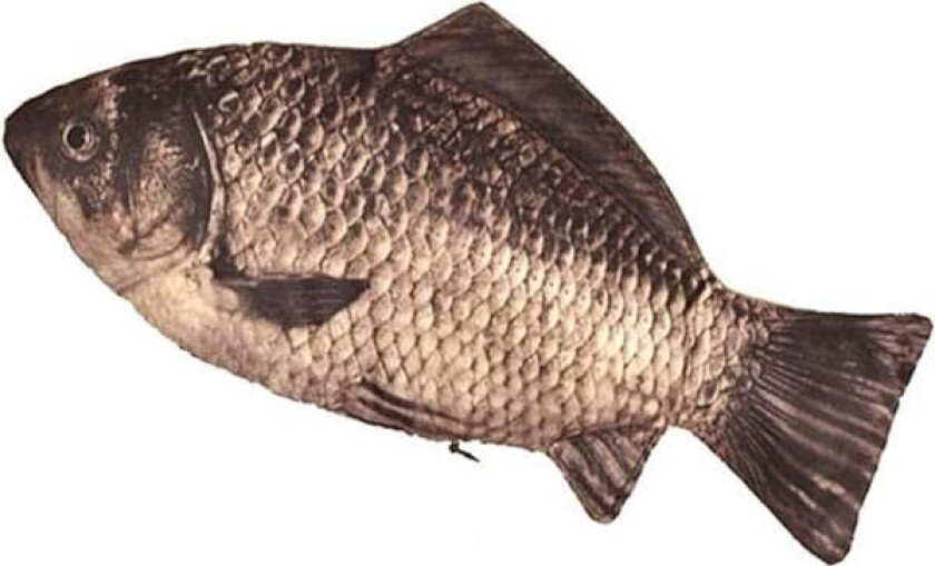 Fiske Penalhus Morsomt Penalhus Fiskeformet Glidelåslomme Nyhet Fiske Penalhus for Skole Klasseromstilbehør