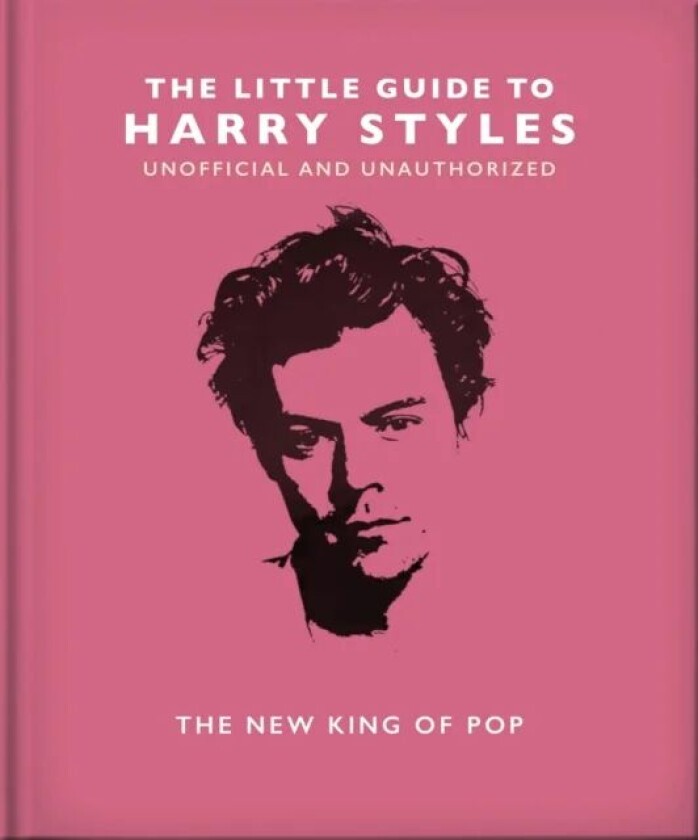 The Little Guide to Harry Styles av Orange Hippo!
