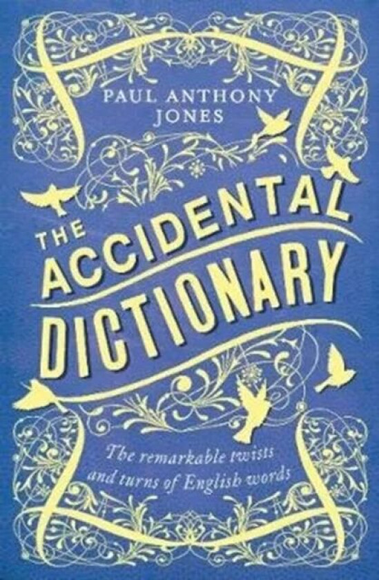 The Accidental Dictionary av Paul Anthony Jones