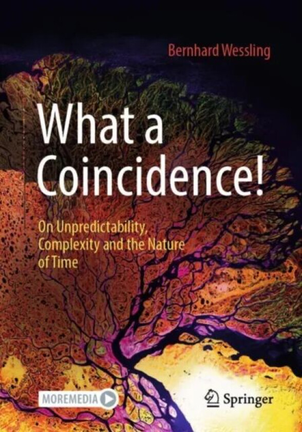 What a Coincidence! av Bernhard Wessling