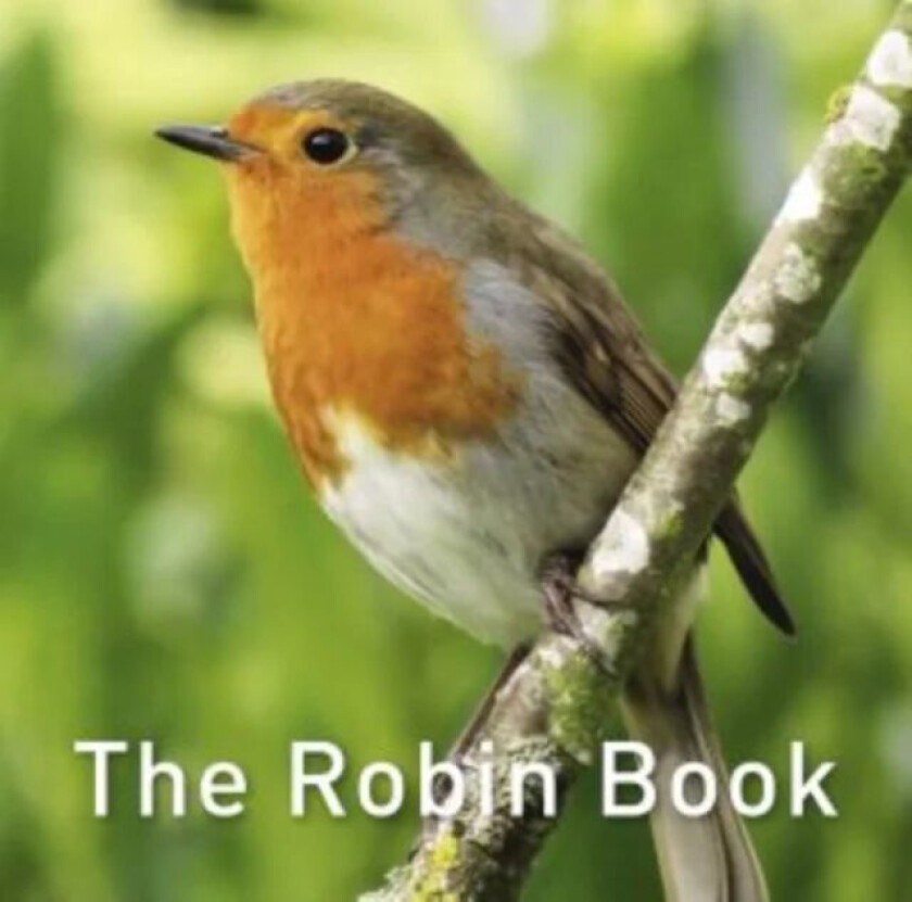 Nature Book Series, The: The Robin Book av Jane Russ