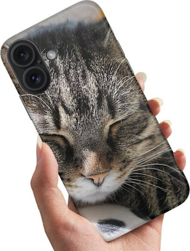 iPhone 16 - Deksel/Mobildeksel Sovende Katt