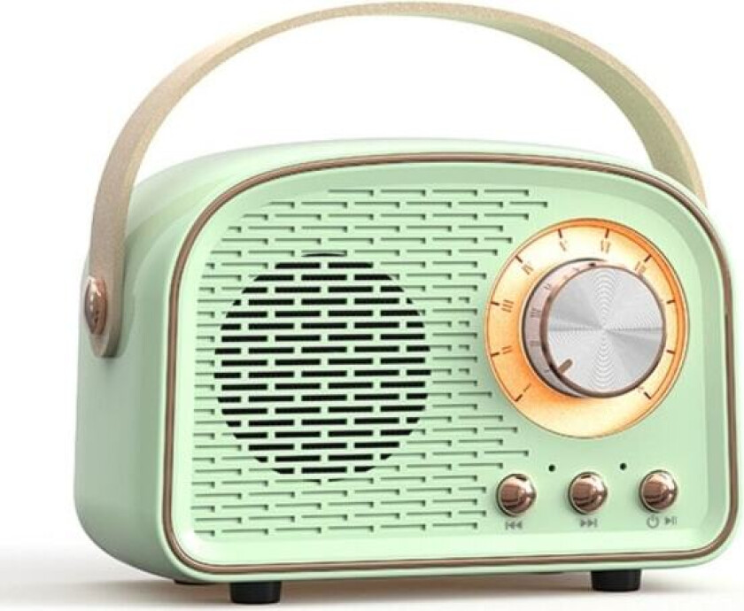 Mini Radio Bluetooth Høyttaler ROSA Rosa