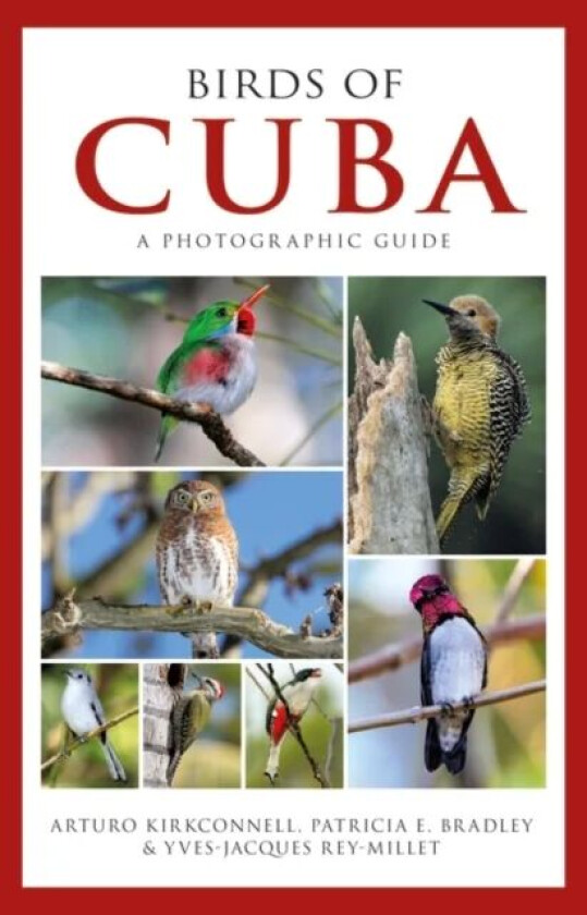 Photographic Guide to the Birds of Cuba av Arturo Kirkconnell, Patricia E. Bradley, Yves-Jacques Rey-Millet