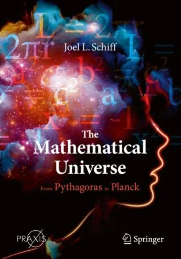 The Mathematical Universe av Joel L. Schiff