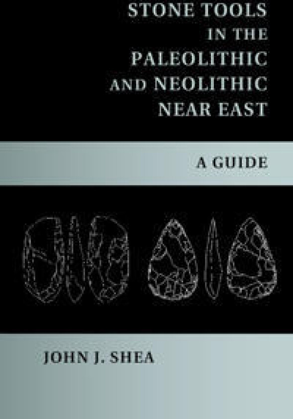 Stone Tools in the Paleolithic and Neolithic Near East